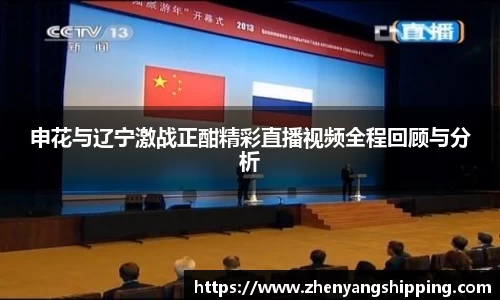 申花与辽宁激战正酣精彩直播视频全程回顾与分析