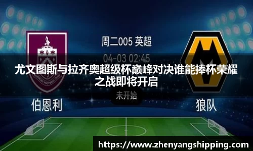 乐动LDSports官网